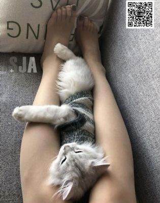 奇优影院手机在线观看电视剧_1080超清在线观看